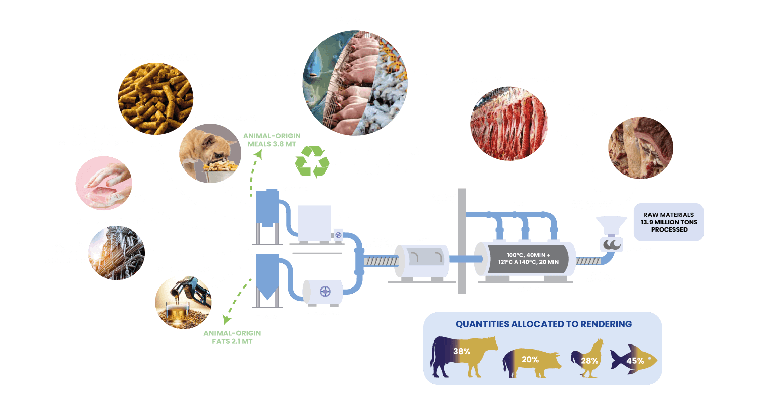 Information about the rendering