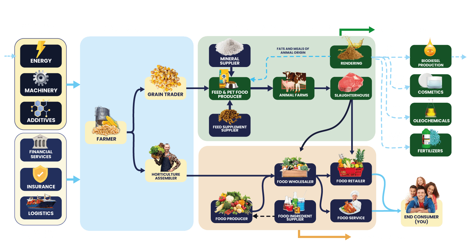 Information about the rendering