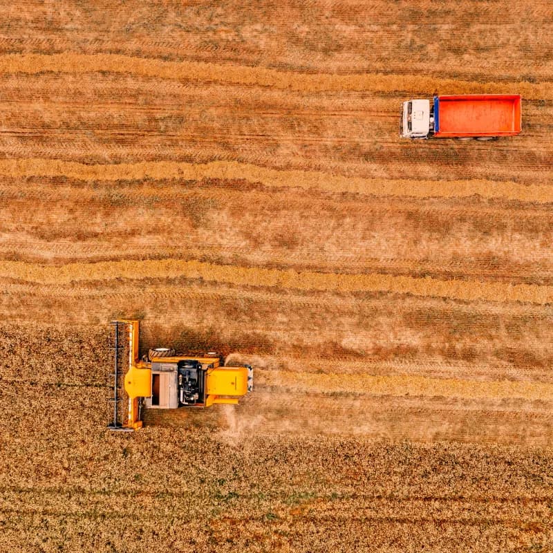 Background image for Substitute Products