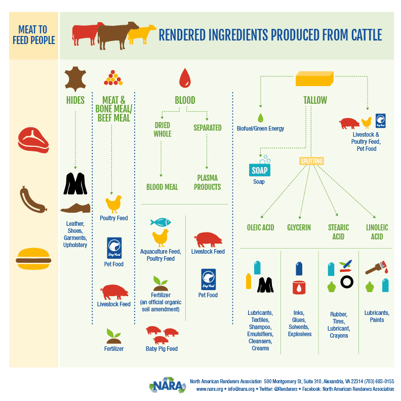 Rendered Ingredientes Produced from Cattle