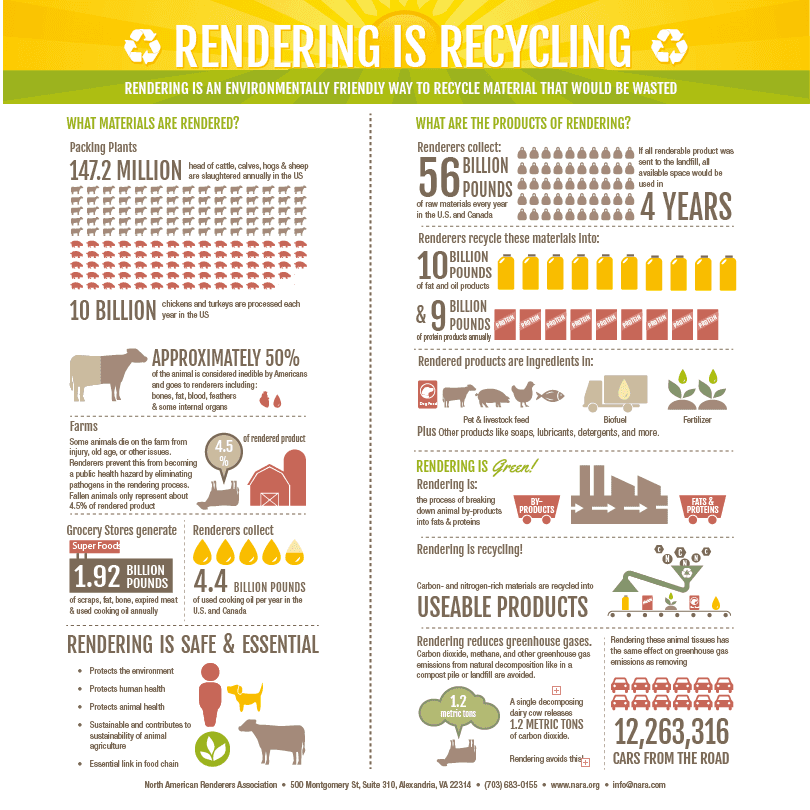 Rendering is Recycling