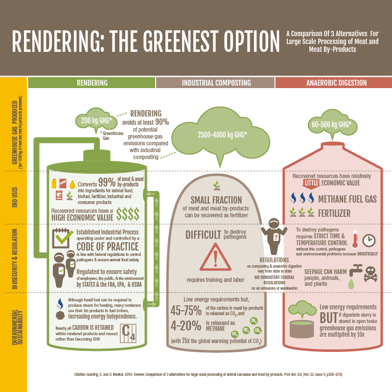 Rendering: The Greenest Option